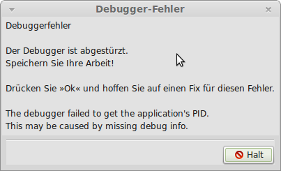 Bildschirmfoto-Debugger-Fehler-1.png